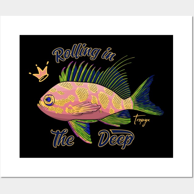 Odontanthias Borbonius Fish Wall Art by Tropyx